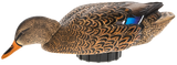 Avian X AVXPSHMHSF Power Shaker  Mallard Hen Surface Feeder Multi-Color