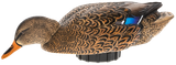 Avian X AVXPSHMHSF Power Shaker  Mallard Hen Surface Feeder Multi-Color