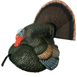Primos 69076 Lil' Gobblestopper Strutter Box Call Turkey Sounds