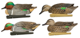 Avian X AVXAVX8081 Topflight Green Winged Teal Floating Multi-Color - 6 Pack