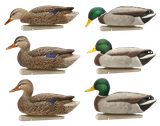 Avian X AVXAVX8076 Topflight Fusion Mallards Multi-Color -6 Pack