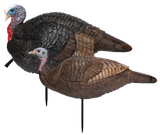 Primos 69075 Lil' Gobblestopper Jake & Hen Combo Turkey Species Multi Color