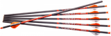 Ravin Crossbows R138 Arrows  400GR .003" 6 Pack