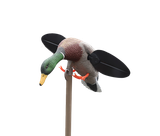 Mojo Outdoors HW2547 Mallard Lite  Multi-Color