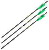 Allen 93230 XD300 Crossbow Bolts Black 20" Carbon Fiber 3 Pack