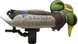 Higdon Outdoors 54080 Pro Mallard Drake Battleship Swimmer Multi-Color Foam Filled
