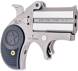 Bond Arms BASTB Stubby  22 LR 2rd Shot 2.20" Matte Stainless Steel Frame Black Textured Polymer Grips