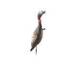 FLEXTONE FLX-FLXDY330 FUNKY CHICKEN GEN. 2