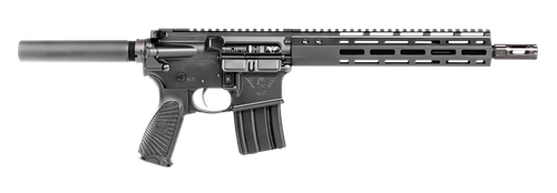 Wilson Combat  Protector  300 HAM'R 20+1 11.30", Black, Buffer Tube (No Brace), M-LOK Handgaurd, BCM Starburst Gunfighter Grip, TTU Two-Stage Trigger
