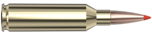 AWT TIPPED 6.5 PRC SST 129gr 20/Bx