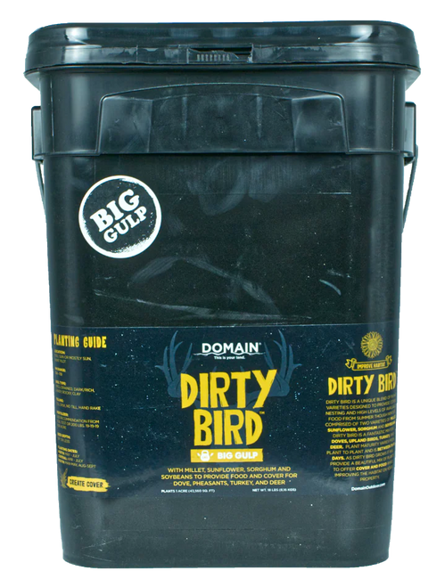 DOMAIN DBFP45     DIRTY BIRD