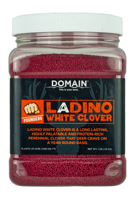 DOMAIN DLWCS1LB   LADINO WHITE CLOVER