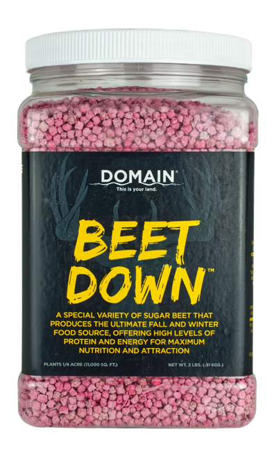 DOMAIN BDFP2       BEET DOWN