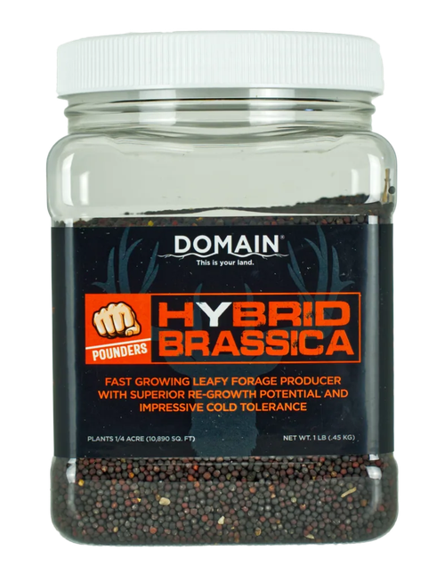 DOMAIN DHBS1LB     POUNDER - HYBRID BRASSICA