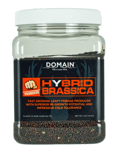 DOMAIN DHBS1LB     POUNDER - HYBRID BRASSICA