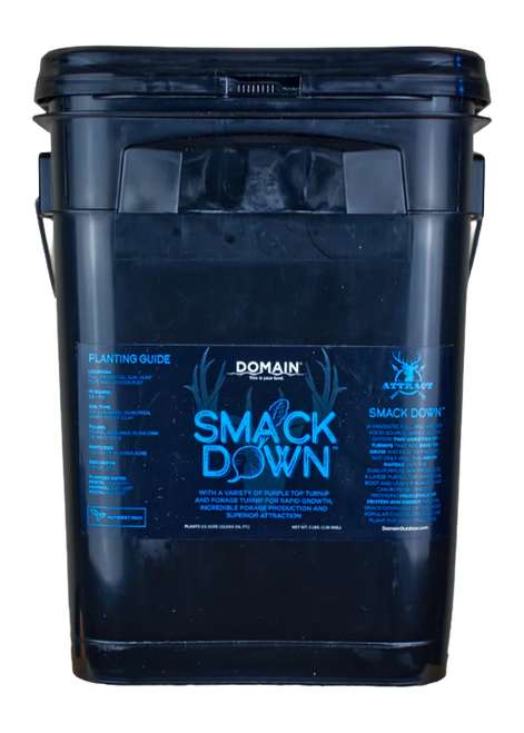 DOMAIN SDFP3       SMACK DOWN