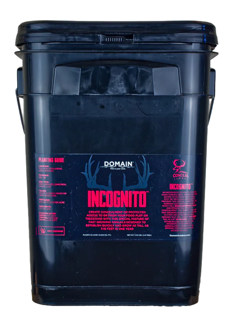 DOMAIN INCFP325    INCOGNITO