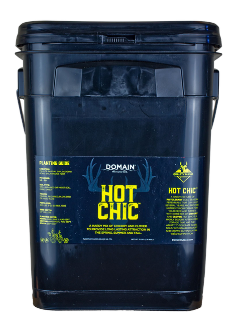 DOMAIN HCFP34      HOT CHIC