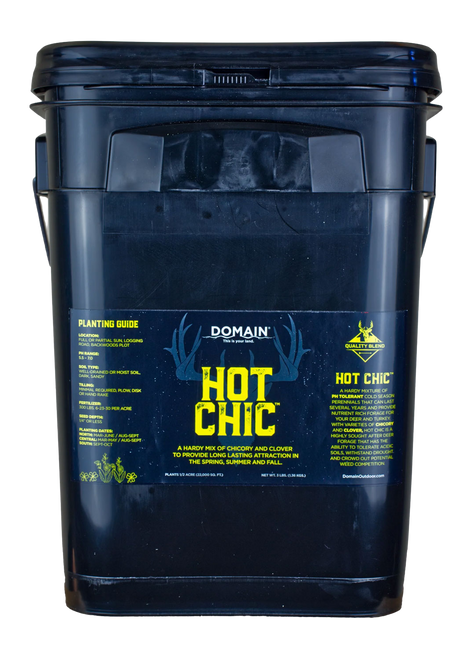 DOMAIN HCFP34      HOT CHIC