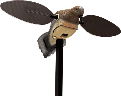 Mojo Outdoors HW2488 Elite Series  Dove Species Multi Color PVC