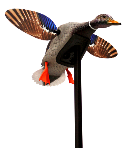Mojo Outdoors HW24703P Elite Series Mini Mallard Drake Species Multi Color Plastic