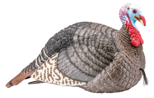 HS Strut 100003 Strut-Lite Jake Wild Turkey Species Multi Color Synthetic