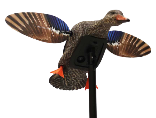 Mojo Outdoors HW24713P Elite Series Mini Hen Mallard Species, Multi Color, Plastic, Features Remote Control