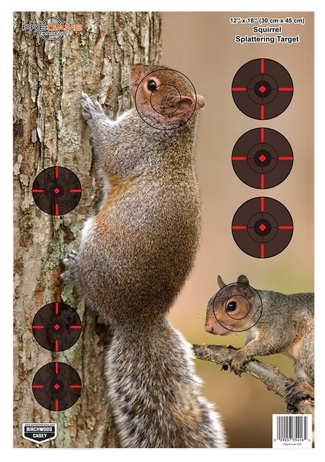 Birchwood Casey 35406 Pregame  Squirrel Paper Hanging Rifle 12" x 18" Impact Enhancement 8 Per Pkg