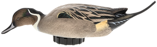 Avian X AVXPSHPNSF Power Shaker  Pintail Surface Feeder Duck Decoy Multi-Color