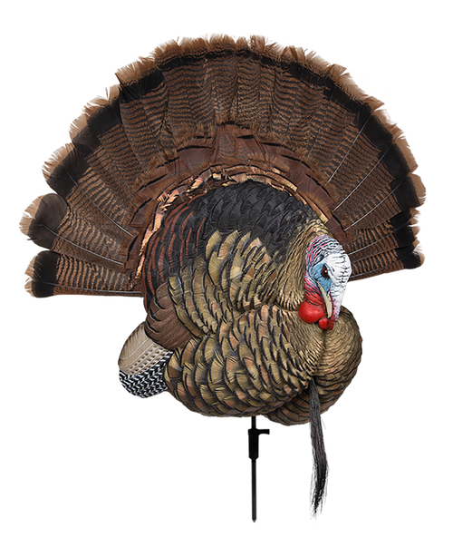 Avian X AVXAVX8021 Trophy Tom  Turkey Species Multi-Color *No Fan