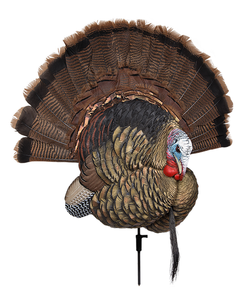 Avian X AVXAVX8021 Trophy Tom  Turkey Species Multi-Color *No Fan