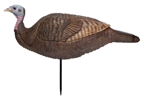 Primos 69073 Lil Gobstopper Hen Turkey Species Multi Color