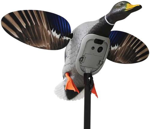 Mojo Outdoors HW2520 Elite Series King Mallard Multi Color Plastic