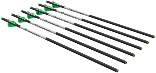 Centerpoint AXCCA206PK1 Crossbow Arrows 20" 6 Pack 400GR