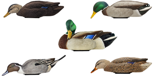 Avian X AVX-PSW-MDLH Power Swimmer  Mallards Multi-Color