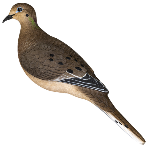 Avian X AVX-DOVE-6PK  Full Body Dove Multi-Color 6 Pack
