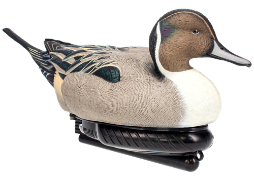 AVIAN AVX-PSW-PNSW  POWER SWIMMER PINTAIL DRAKE