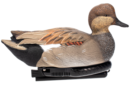 AVIAN AVX-PSW-GDSW  POWER SWIMMER GADWILL DRAKE