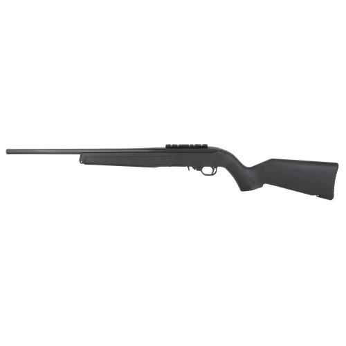 RUGER 10/22 22LR 18.5" 10RD SR BLK