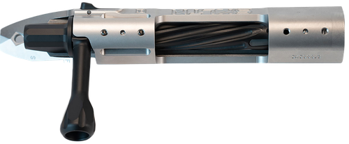 P2 IN-00281 SKLTN SA LH STANDARD SS