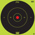PRO-SHOT TARGET 12" GN BLSE TP 5PK