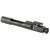 KAK AR15 BCG M16 556/300 CLP BLK