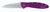 Kershaw Leek Purple Knife