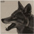INFRARED-ID RCOYOTEHD1  THERM COY HEAD TARGT