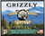 Grizzly Ammo GC357M20   357Mag 210gr Full Metal Jacket Flat Point 20 Per Box/10 Case