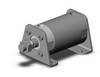 SMC CG1LN100-75Z Cg1, Air Cylinder