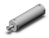 SMC CG5BN100SV-250 Cg5, Stainless Steel Cylinder