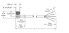 Turck Wk 4.5T-12 Actuator and Sensor Cable, Connection Cable