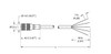 Turck Rk 4.5T-60 Actuator and Sensor Cable, Connection Cable