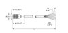 Turck Rk 4.6T-30 Actuator and Sensor Cable, Connection Cable